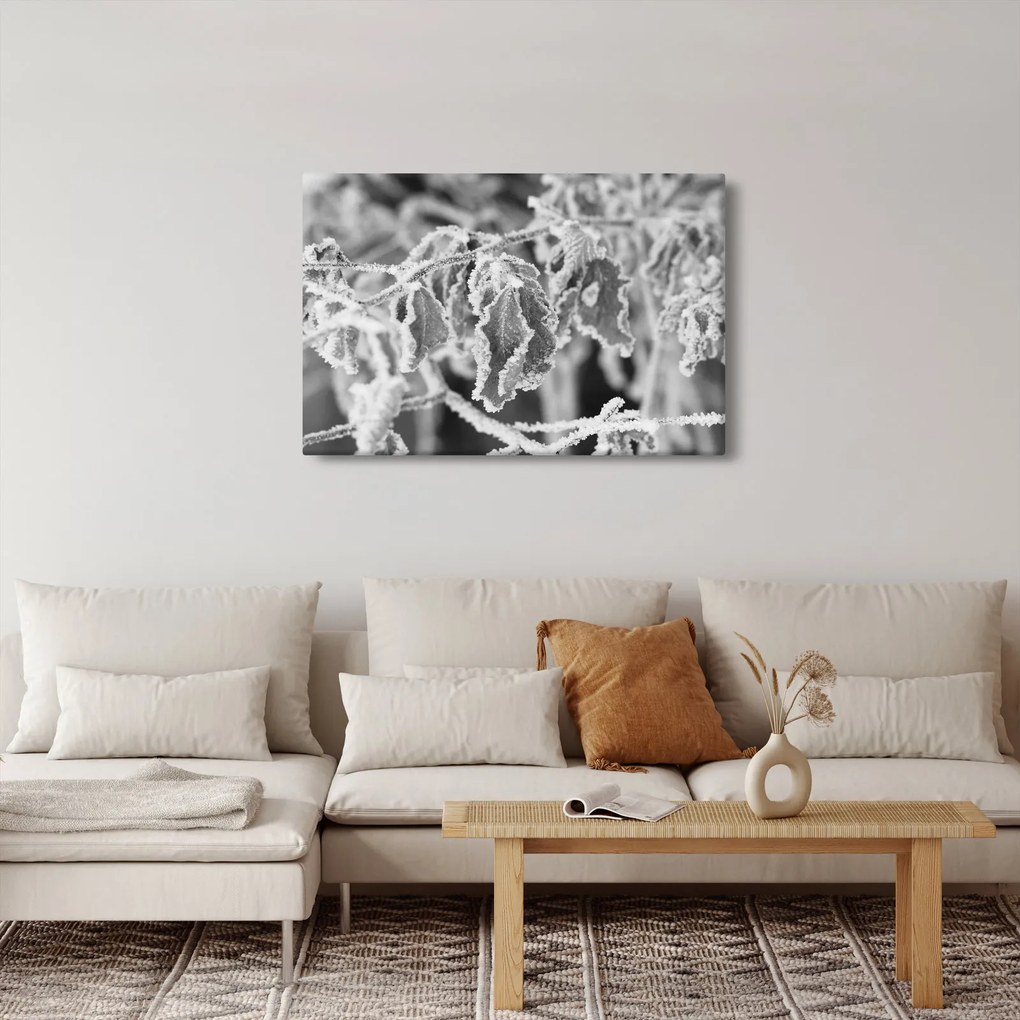 Tablou - Frunze înghețate,alb-negru (90x60 cm)