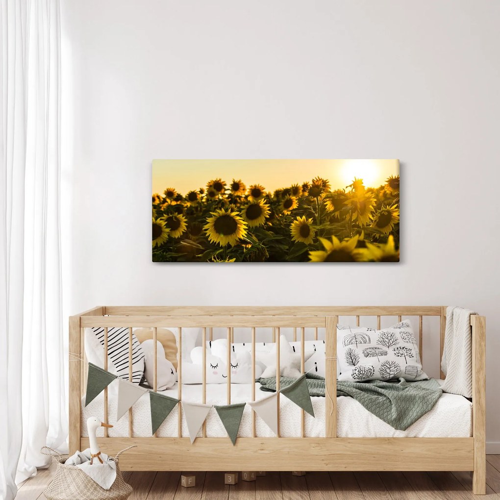 Tablou cu lan de floarea soarelui (120x50 cm)
