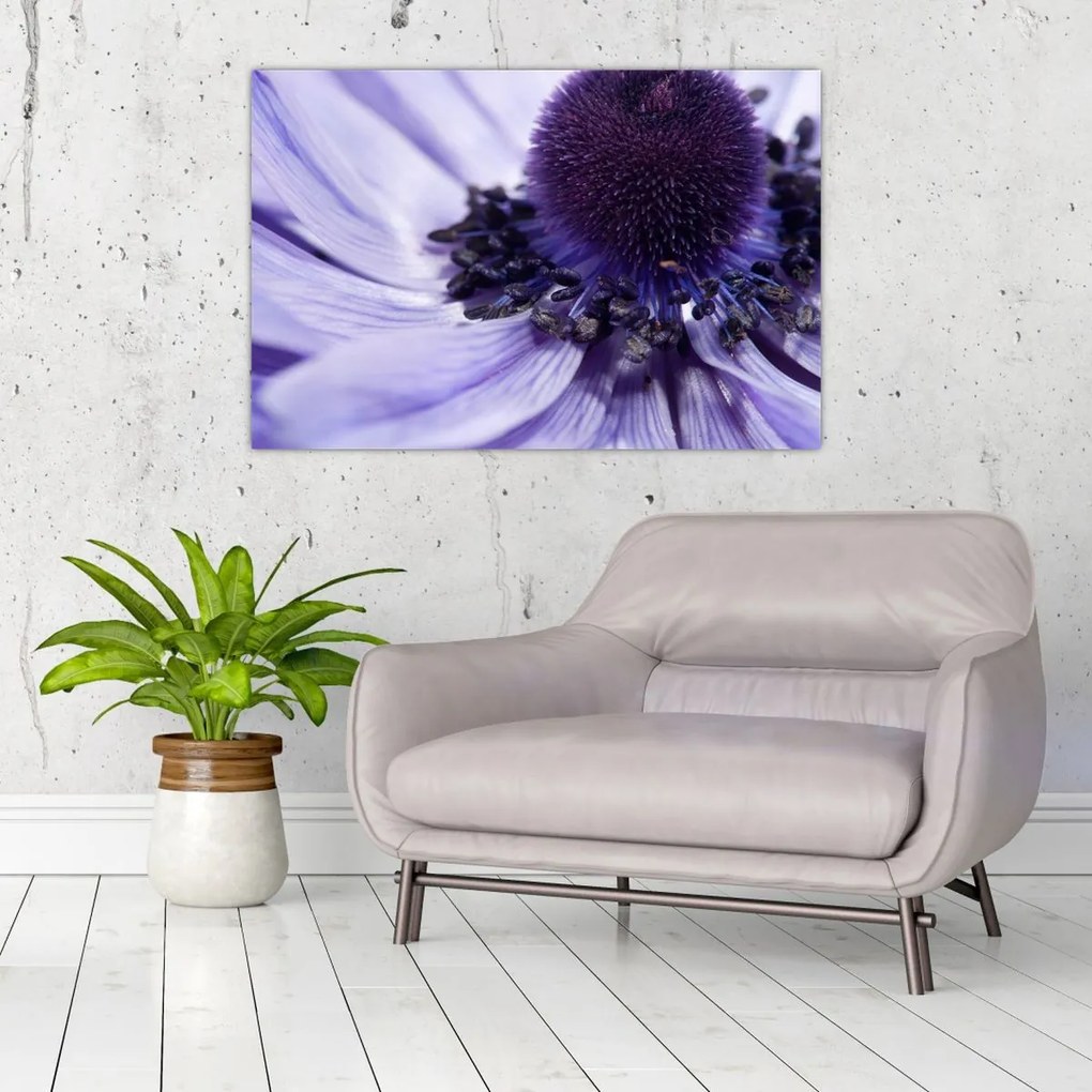 Tablou - Floare mov (90x60 cm)