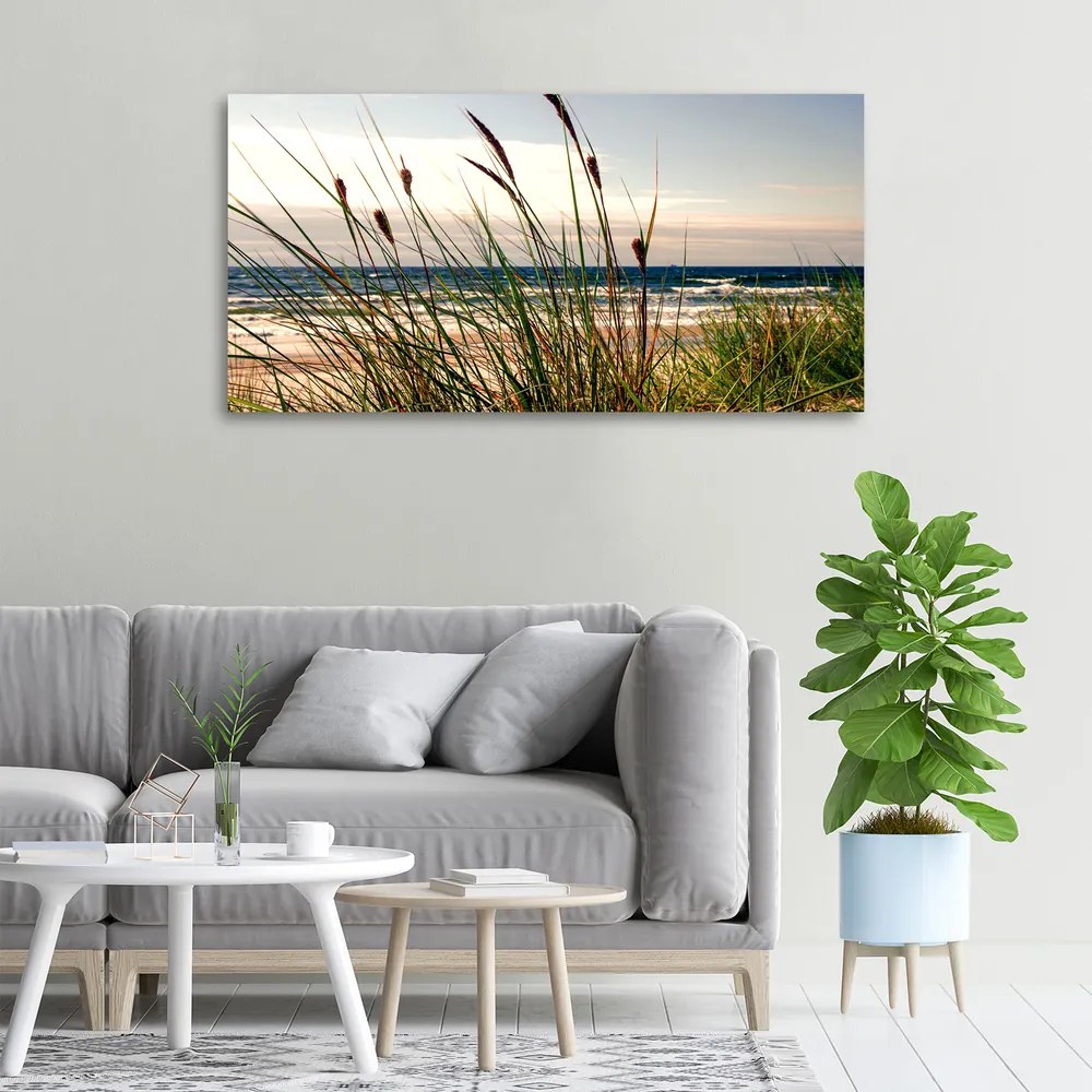 Tablou pe pânză canvas Dune de coastă