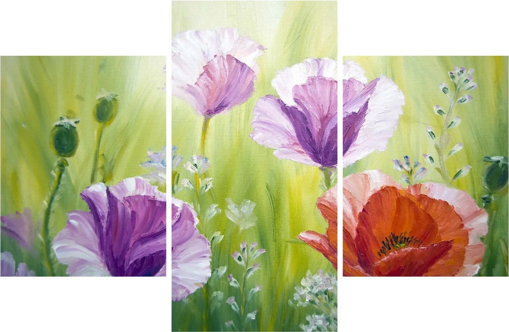 Tablou - Maci (90x60 cm)