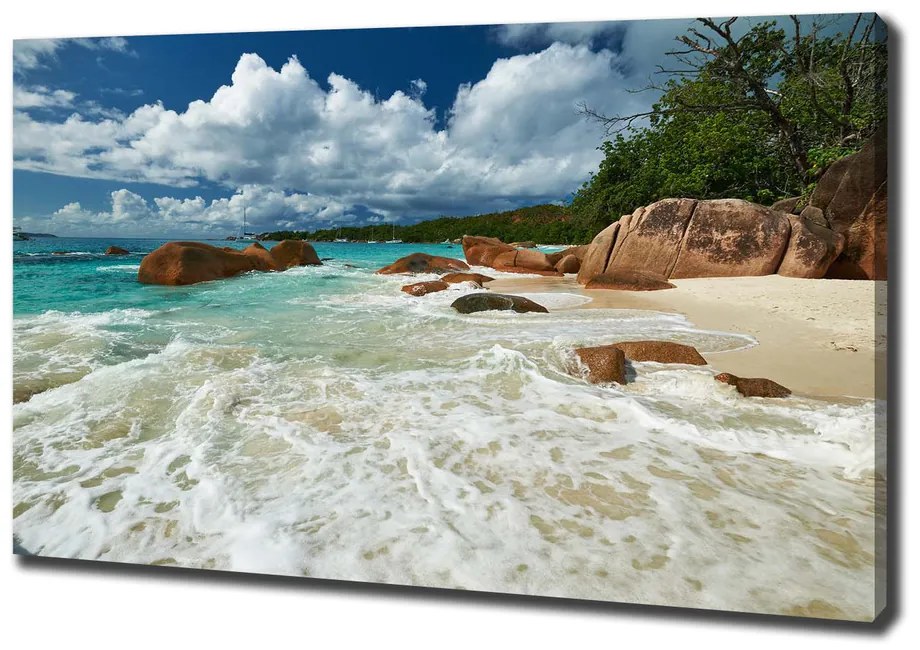 Tablou canvas Plaja seychelles