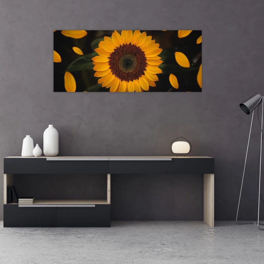 Tablou - Floarea soarelui și petale (120x50 cm)