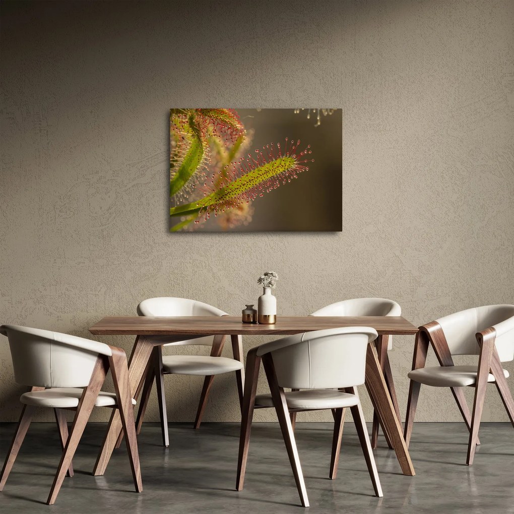 Tablou cu plantă (70x50 cm)