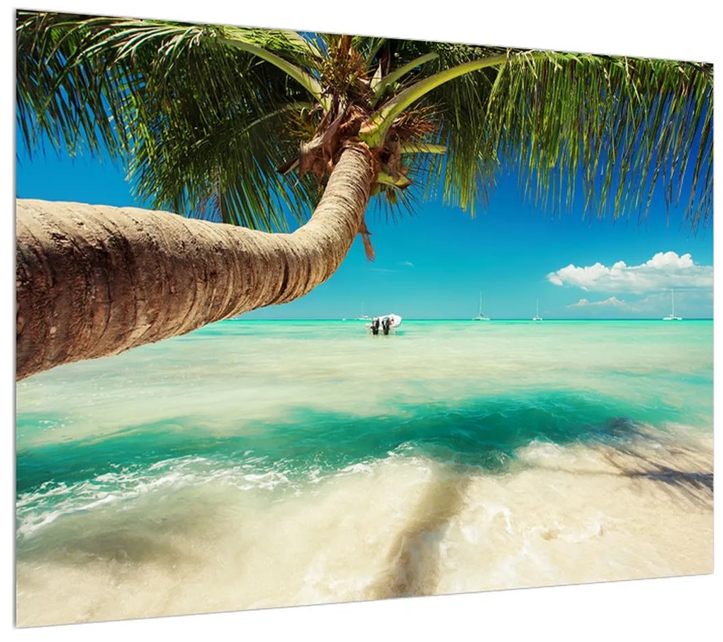 Tablou cu marea curată cu palmier (70x50 cm), în 40 de alte dimensiuni noi
