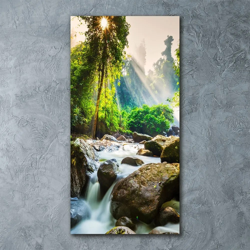 Tablou sticlă Cascada din pădure