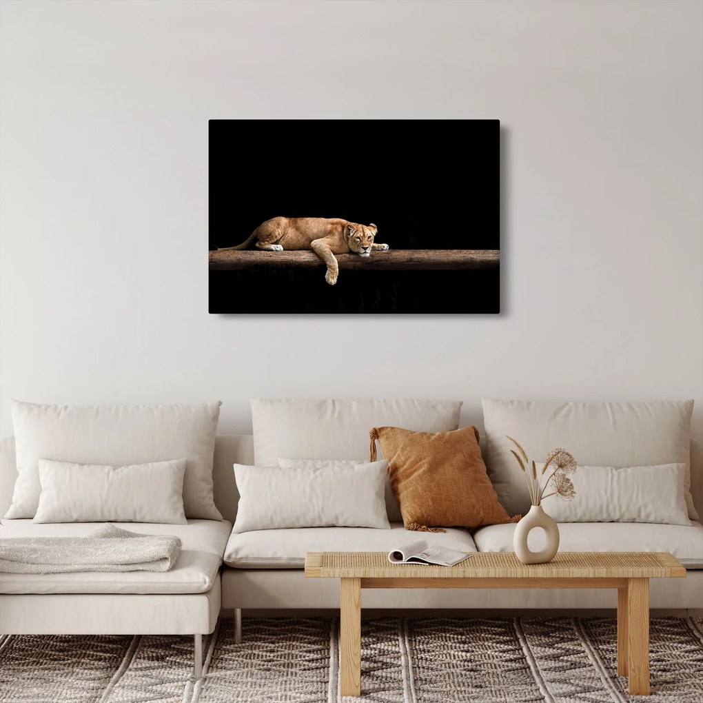 Tablou - Lioness (90x60 cm)