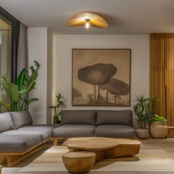 Brilagi - Lustră aplicată LED CERIA BOHO 1xE27/40W/230V, Ø 80 cm, rafie