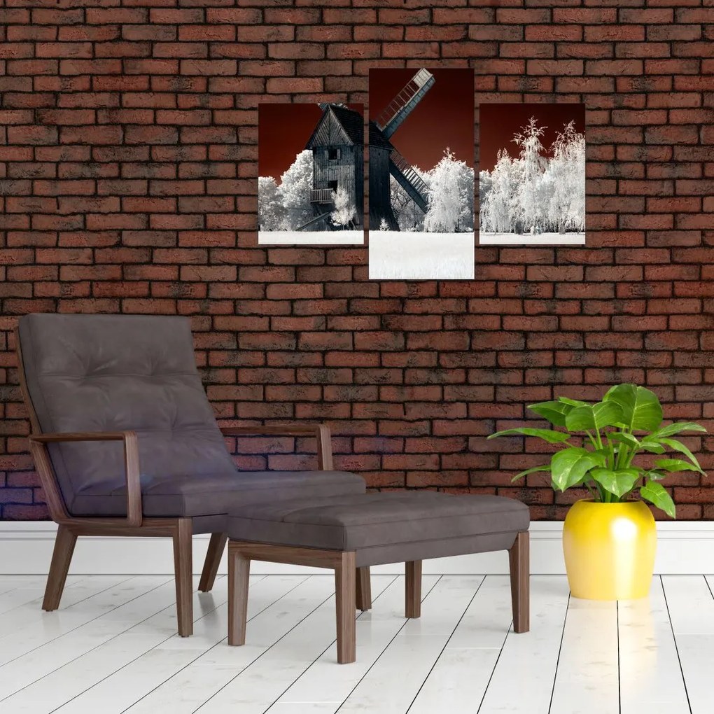 Tablou cu moară (90x60 cm)