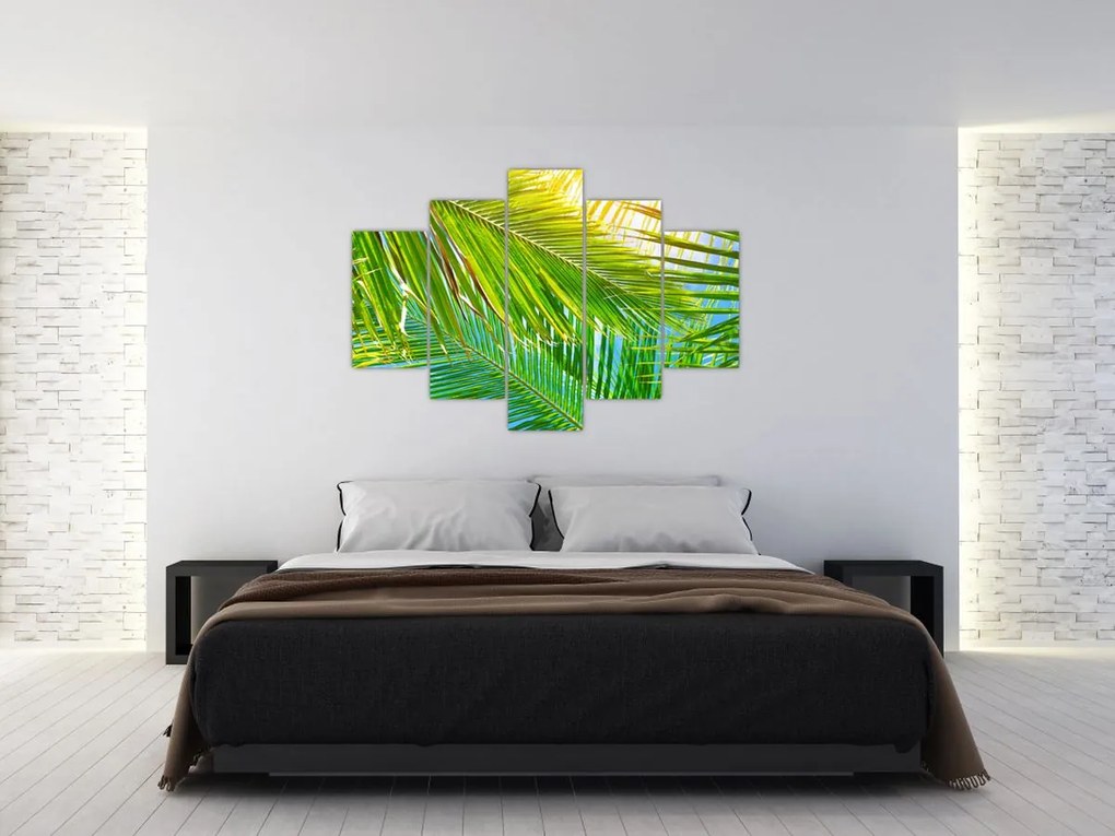 Tablou - Frunze de palmier (150x105 cm)