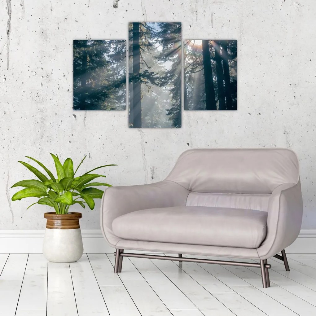 Tablou cu copaci și soarele translucind (90x60 cm)