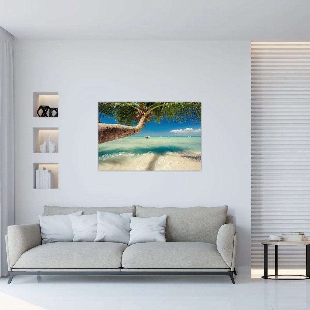 Tablou - Mare curată cu palmier (90x60 cm)