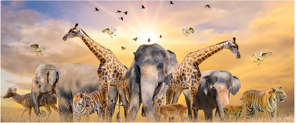Tablou - Animae din Africa (120x50 cm)