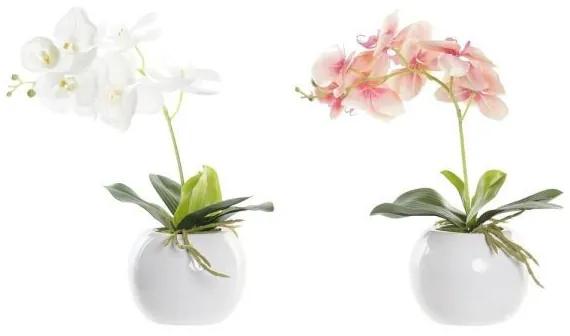 DKD Home Decor Plantă decorativă dkd home decor polietilenă alb piersică (30 x 20 x 43 cm) (2 pcs)