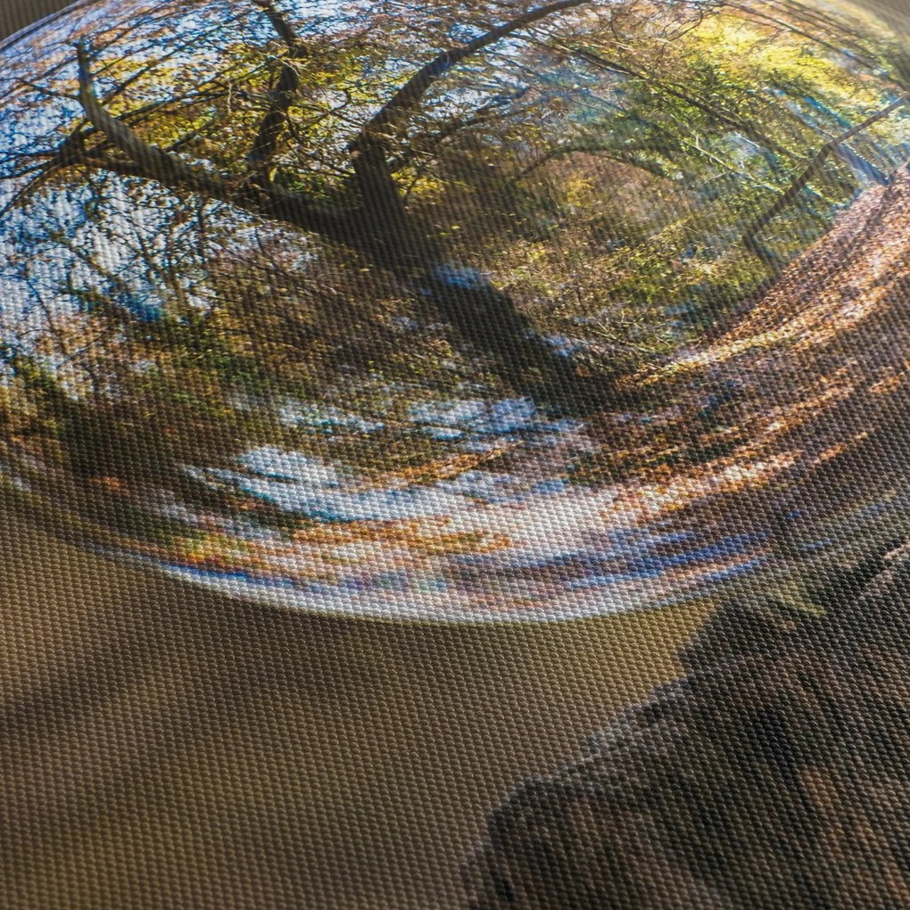 Tablou - Reflecție intr-o sferă transparentă (90x60 cm)
