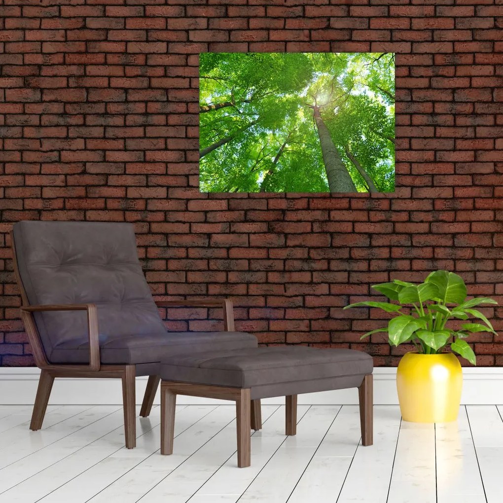 Tablou pe sticlă - Lunca (70x50 cm)