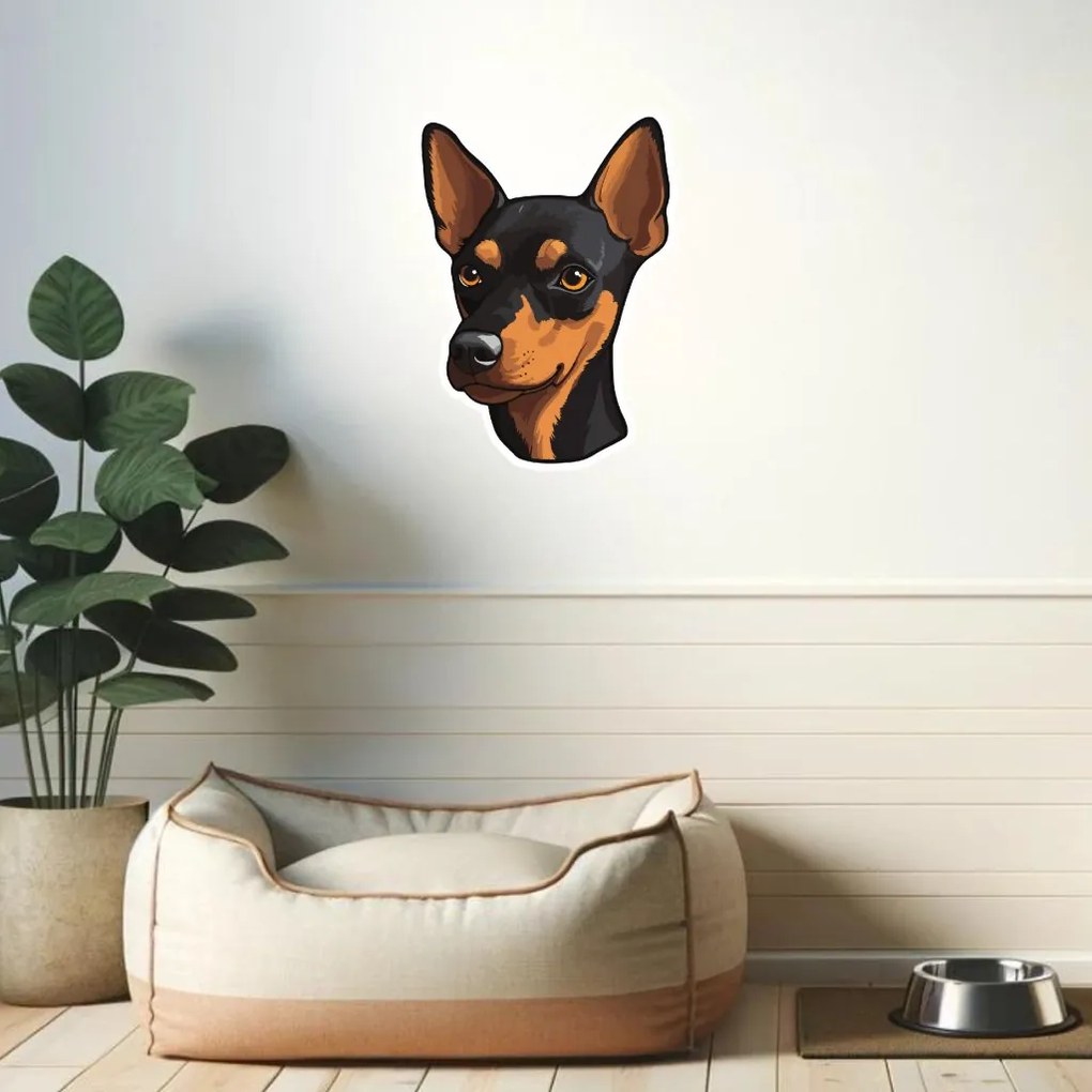 PIPPER. Autocolant Pinscher miniatural mărimea: 60cm