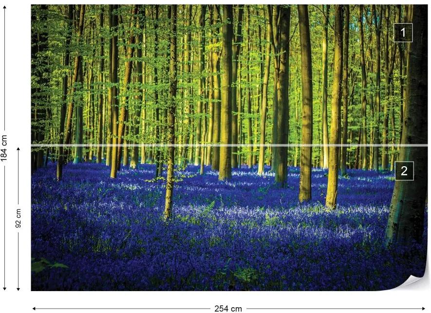 Fototapet GLIX - Blue Forest Trees + adeziv GRATUIT Tapet nețesute - 254x184 cm