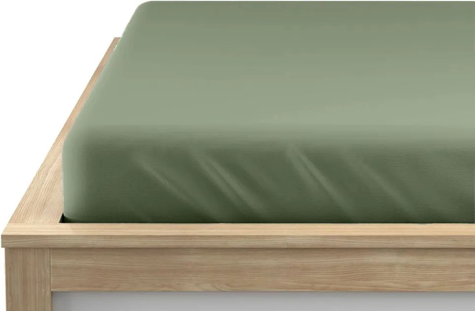 Cearsaf Jersey verde inchis 160 x 200 cm