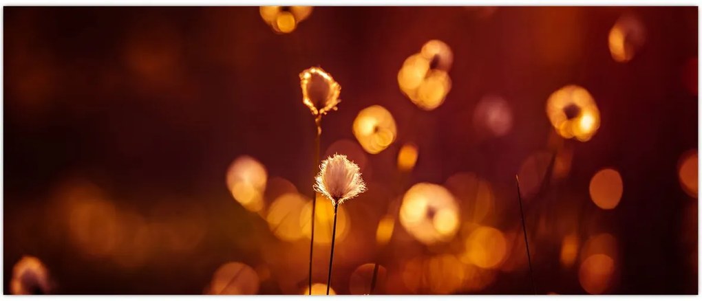 Tablou - Dimineața (120x50 cm)