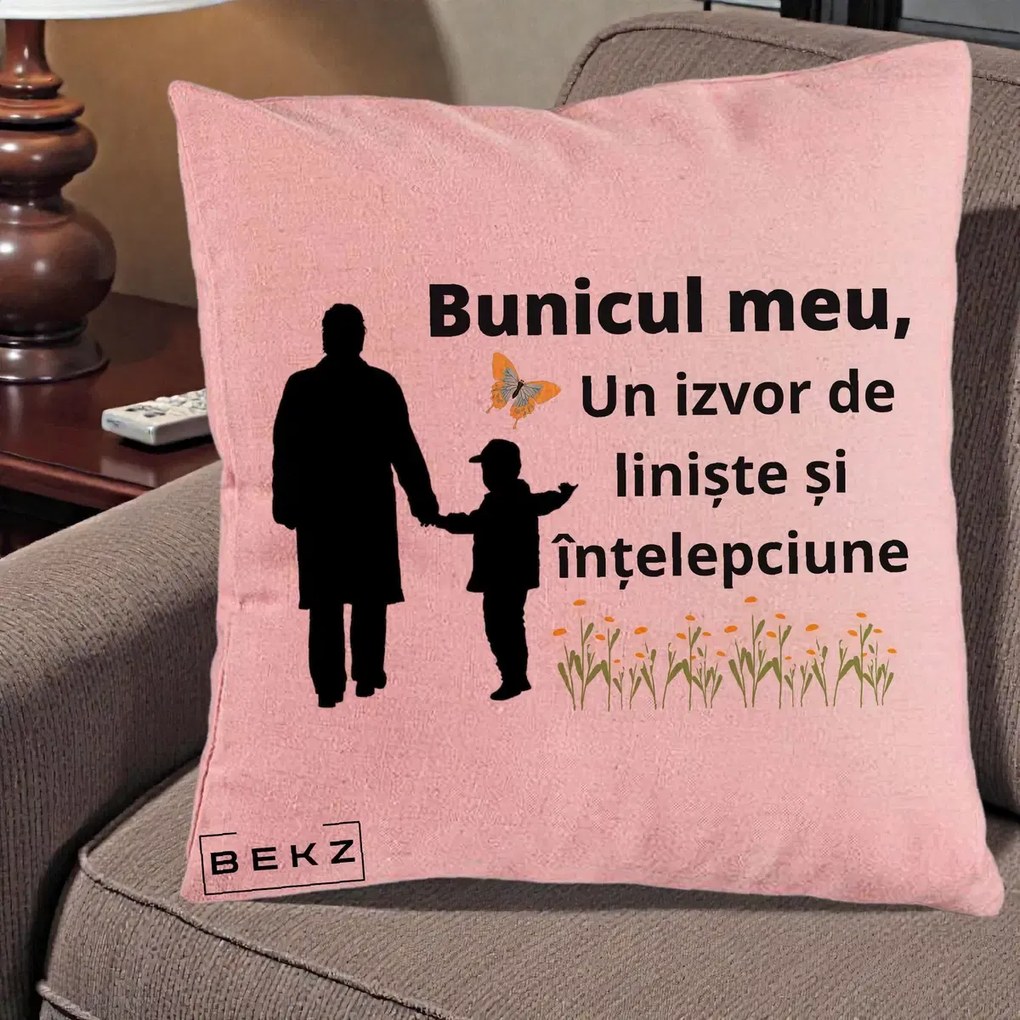 Cadou pentru Bunic - Perna Personalizata Bunicul Meu Izvor de Liniste cu Fluture si Baietel, 40x40 cm, Roz, Husa Detasabila, Perna Inclusa, BEKZ®