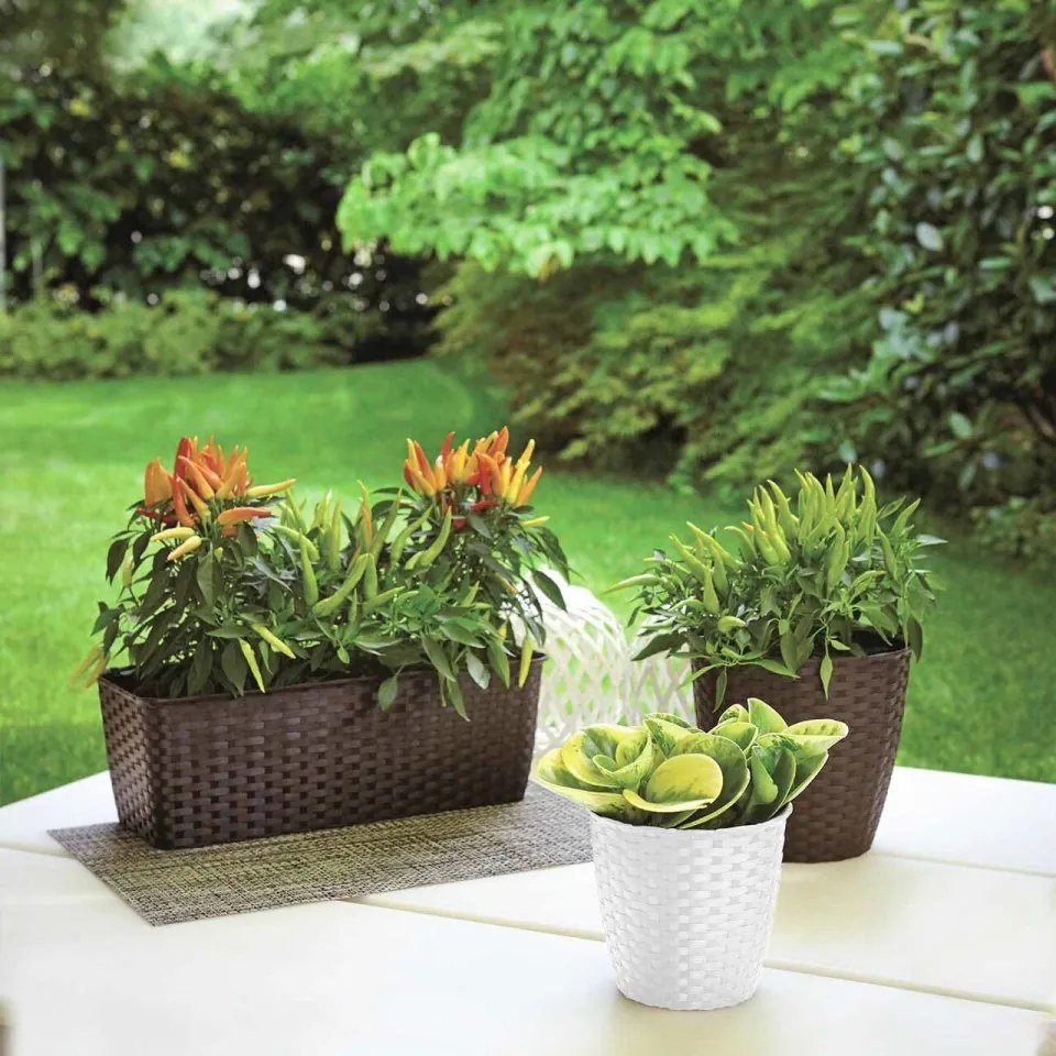 Jardiniera, Tortora, Vetro-Plus, 30x13x11 cm, plastic, maro