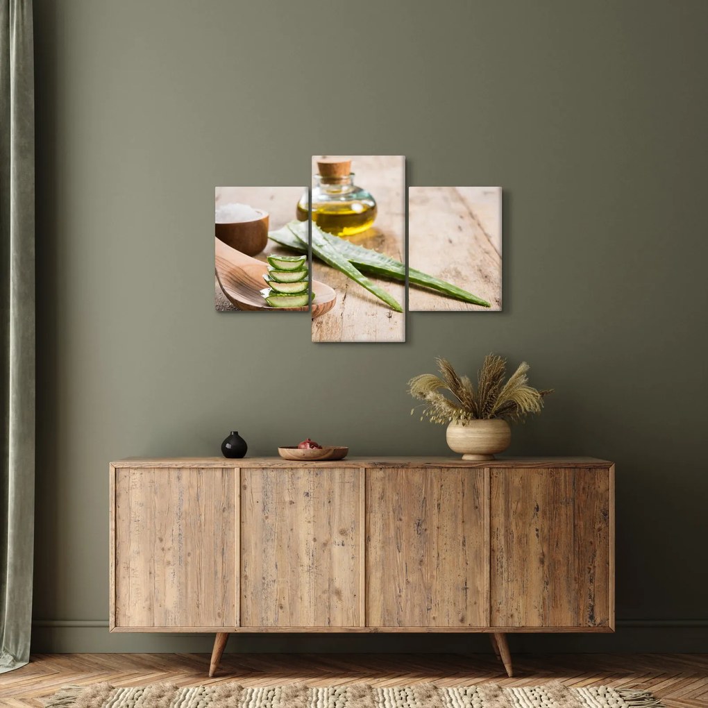 Tablou - Aloe vera (90x60 cm)