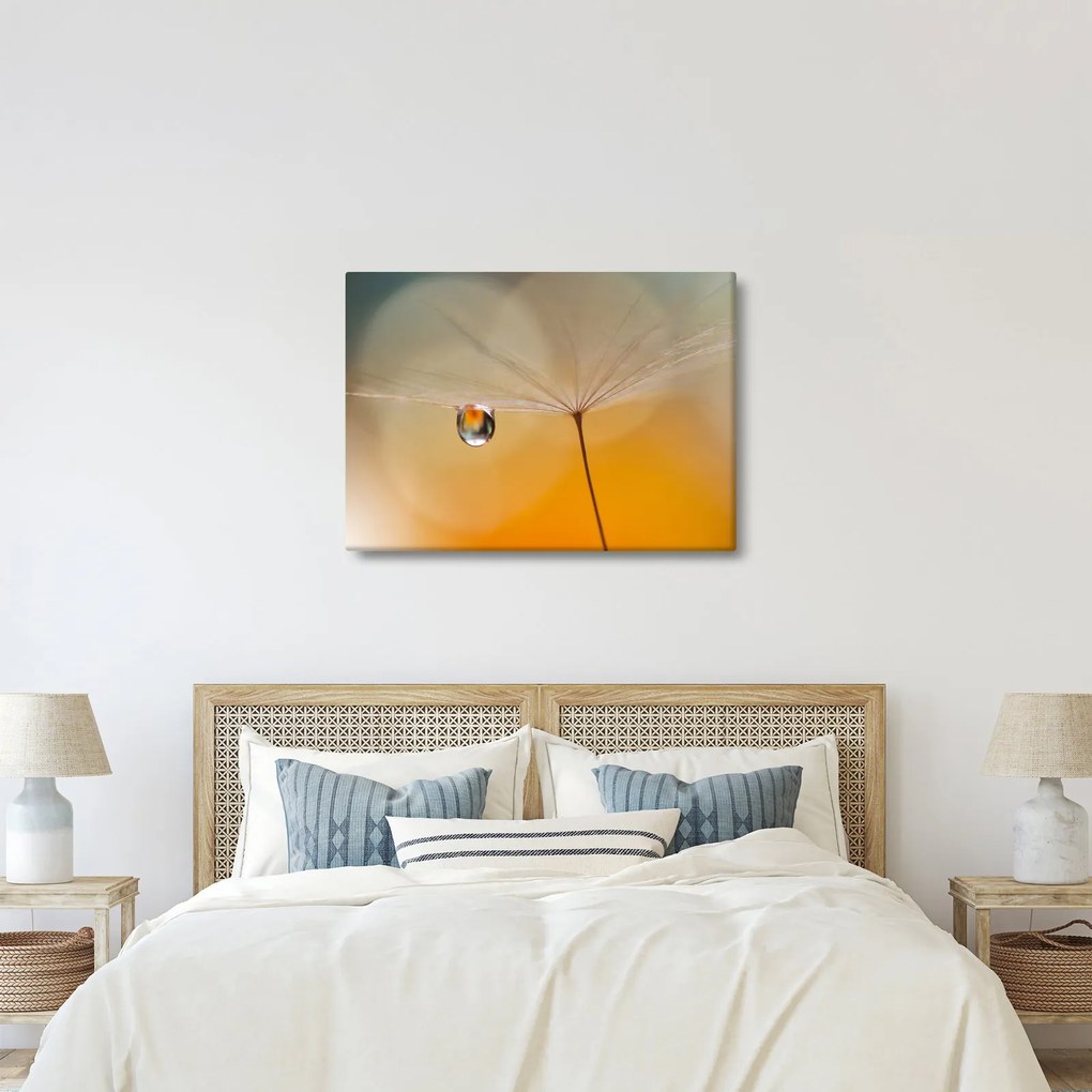 Tablou - Flori macro (70x50 cm)
