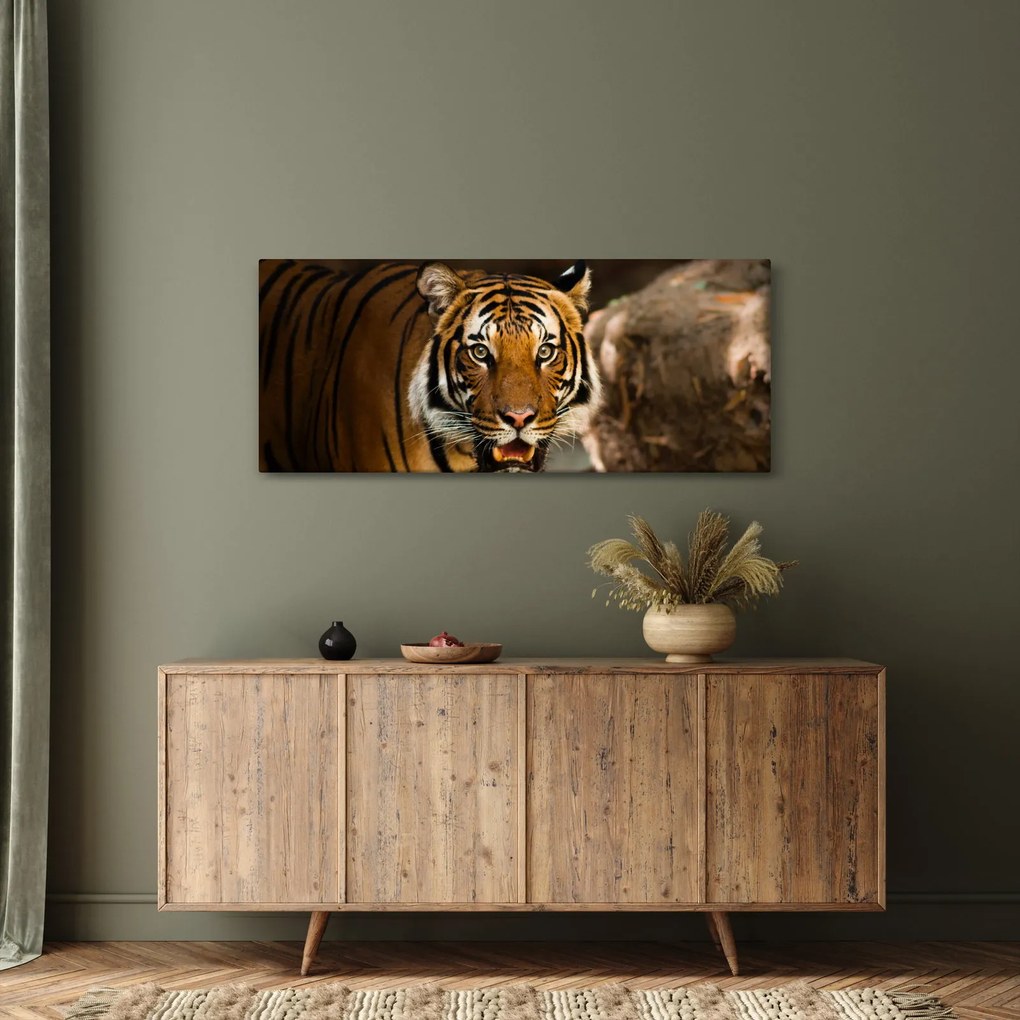 Tablou cu tigrul (120x50 cm)