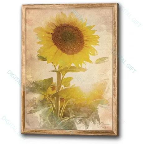 Tablou clasic - Floarea soarelui 53x73 cm, carton