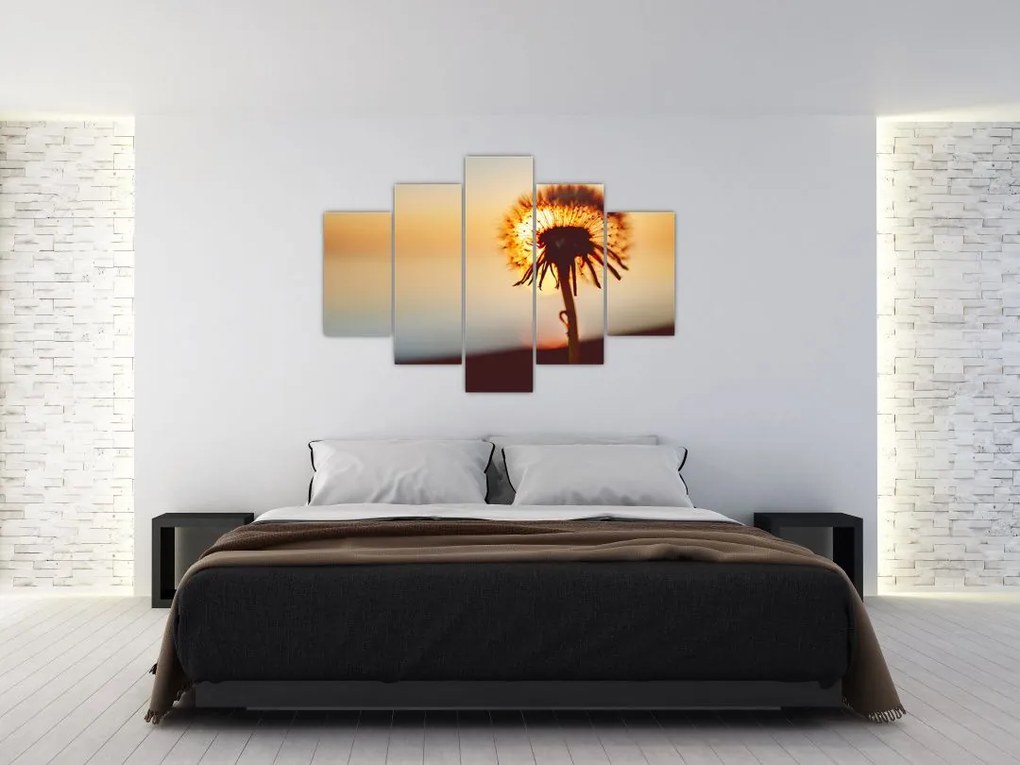 Tablou - Păpădie la apus de soare (150x105 cm)