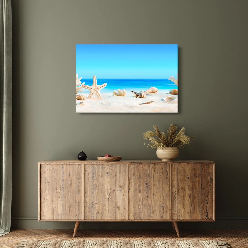 Tablou - Natura morta cu scoici (90x60 cm)