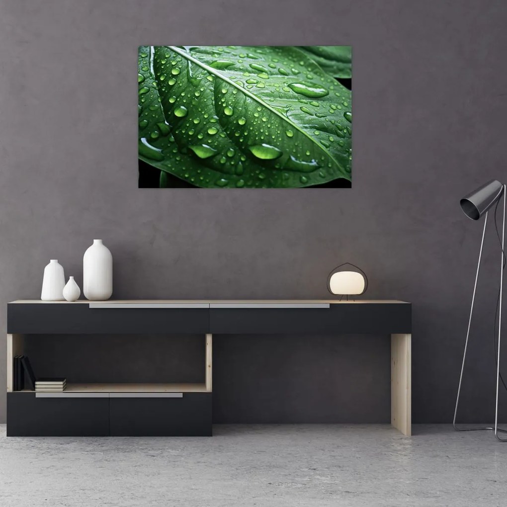 Tablou - Detaliu de frunze după ploaie (90x60 cm)