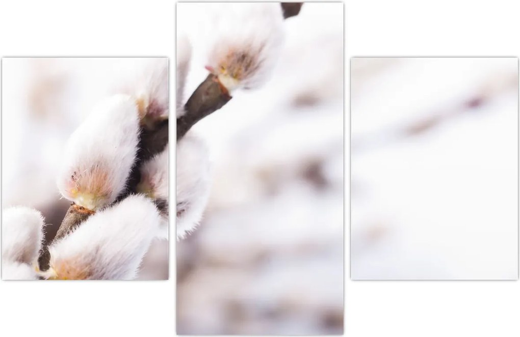 Tablou - Ramură (90x60 cm)