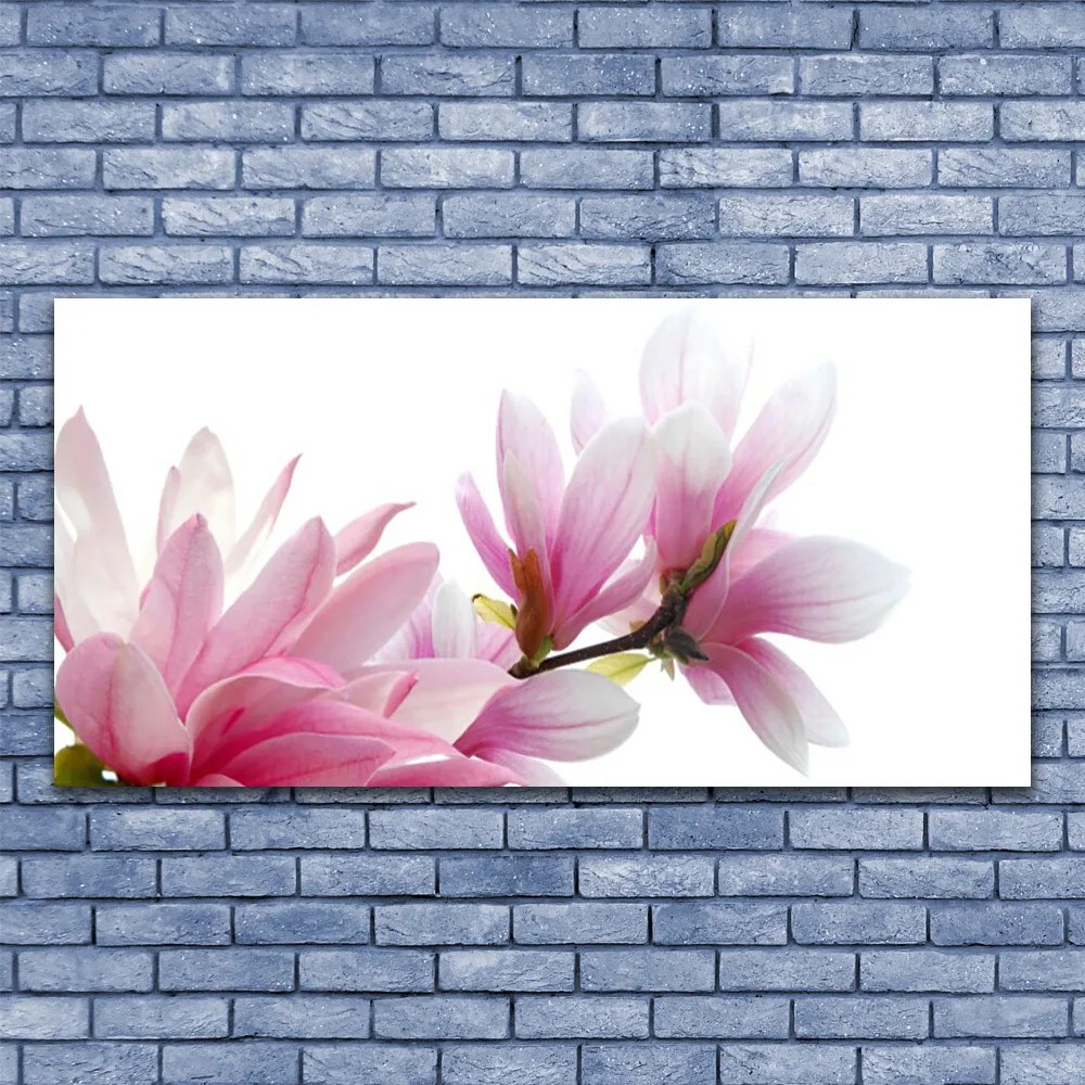 Tablou pe panza canvas Magnolia Blossoms Floral roz