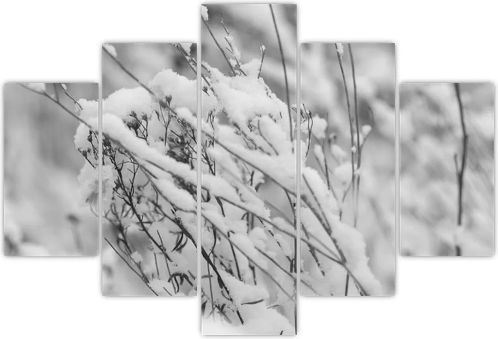 Tablou - Ramuri înzăpezite (150x105 cm)