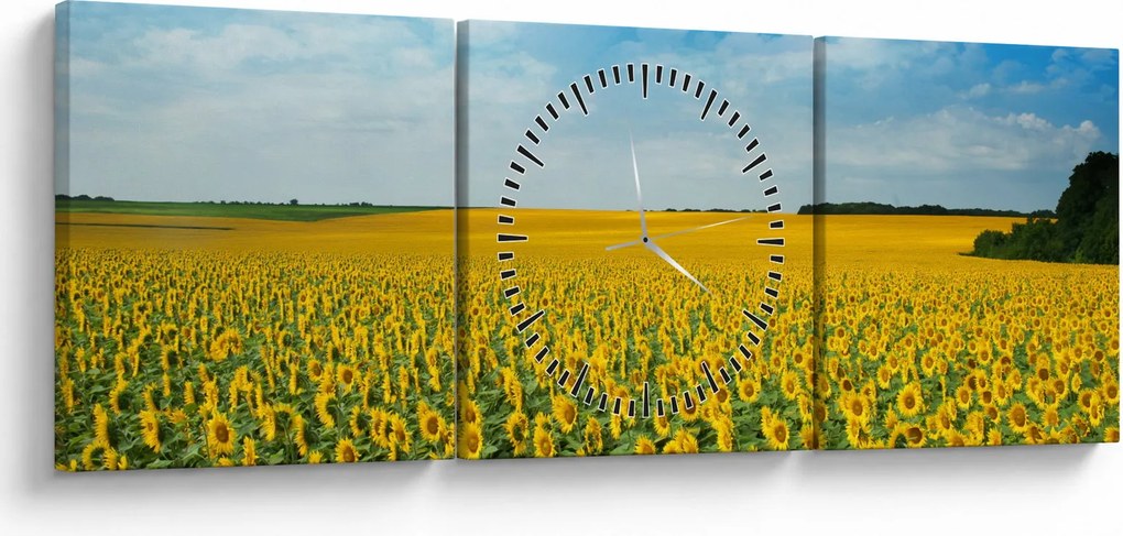Tablou - câmp cu floarea soarelui (cu ceas) (90x30 cm)