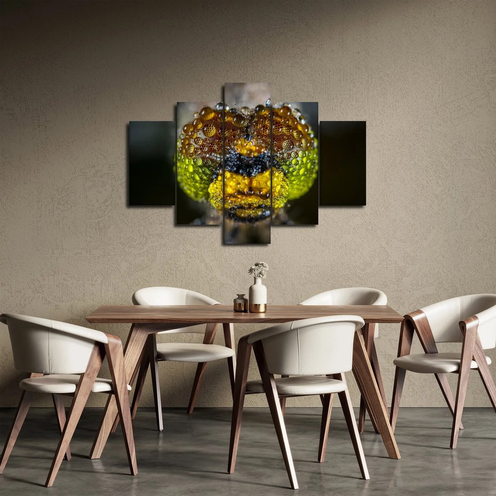 Tablou detailat cu ochii de omidă (150x105 cm)