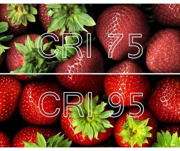 Spot LED dimabil NIGEL 1xGU10/5W/230V alb Lucide 09929/05/31