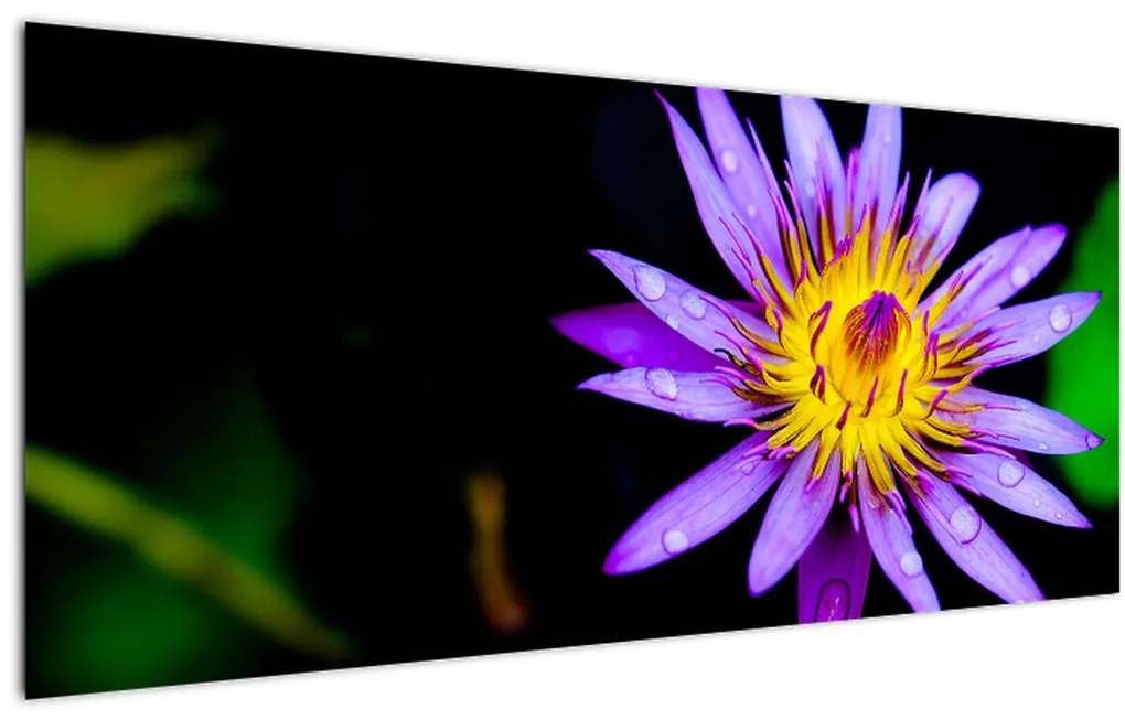 Tablou cu floare (120x50 cm)