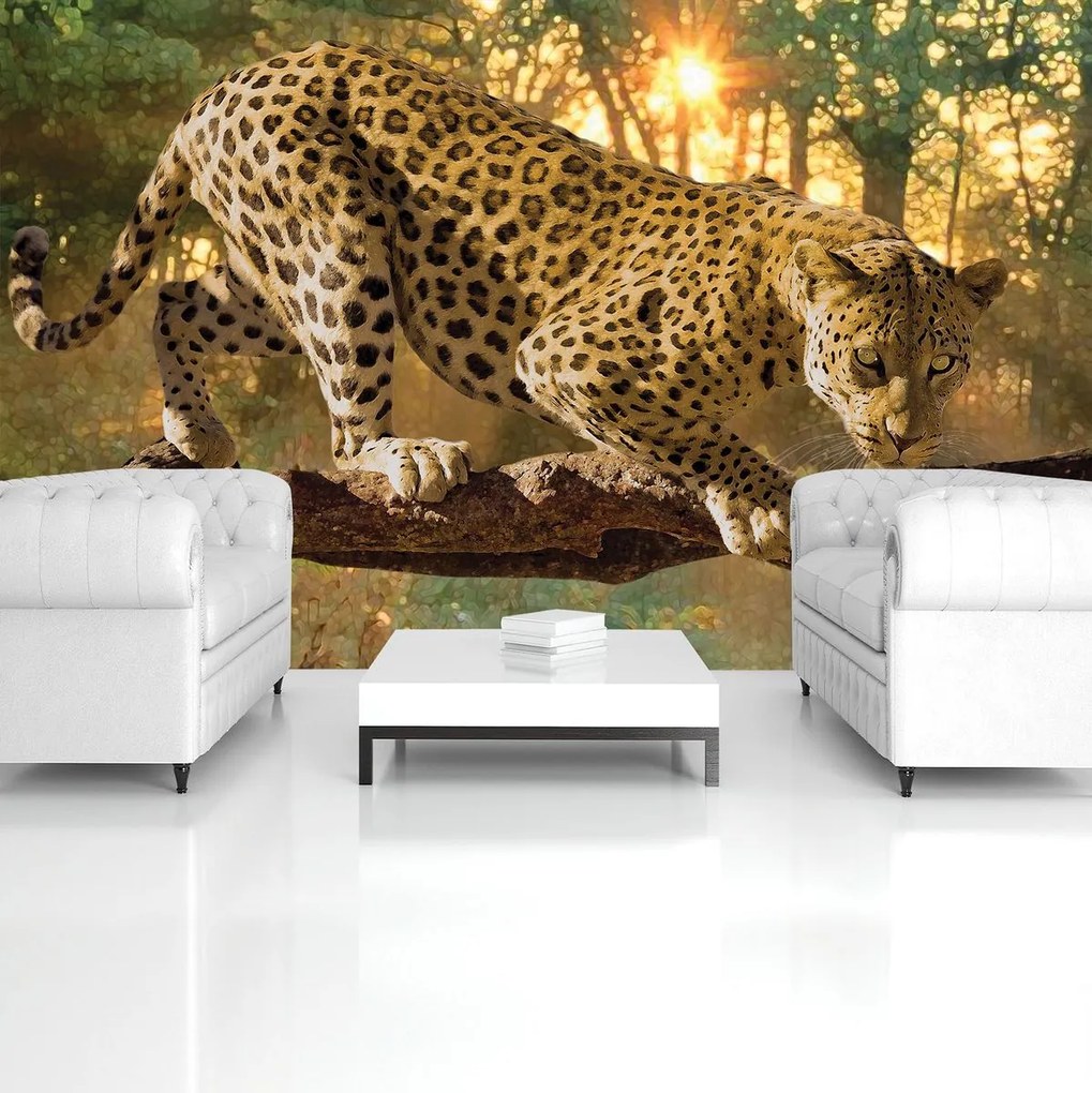 Fototapet - Jaguar Forest Woods (254x184 cm)