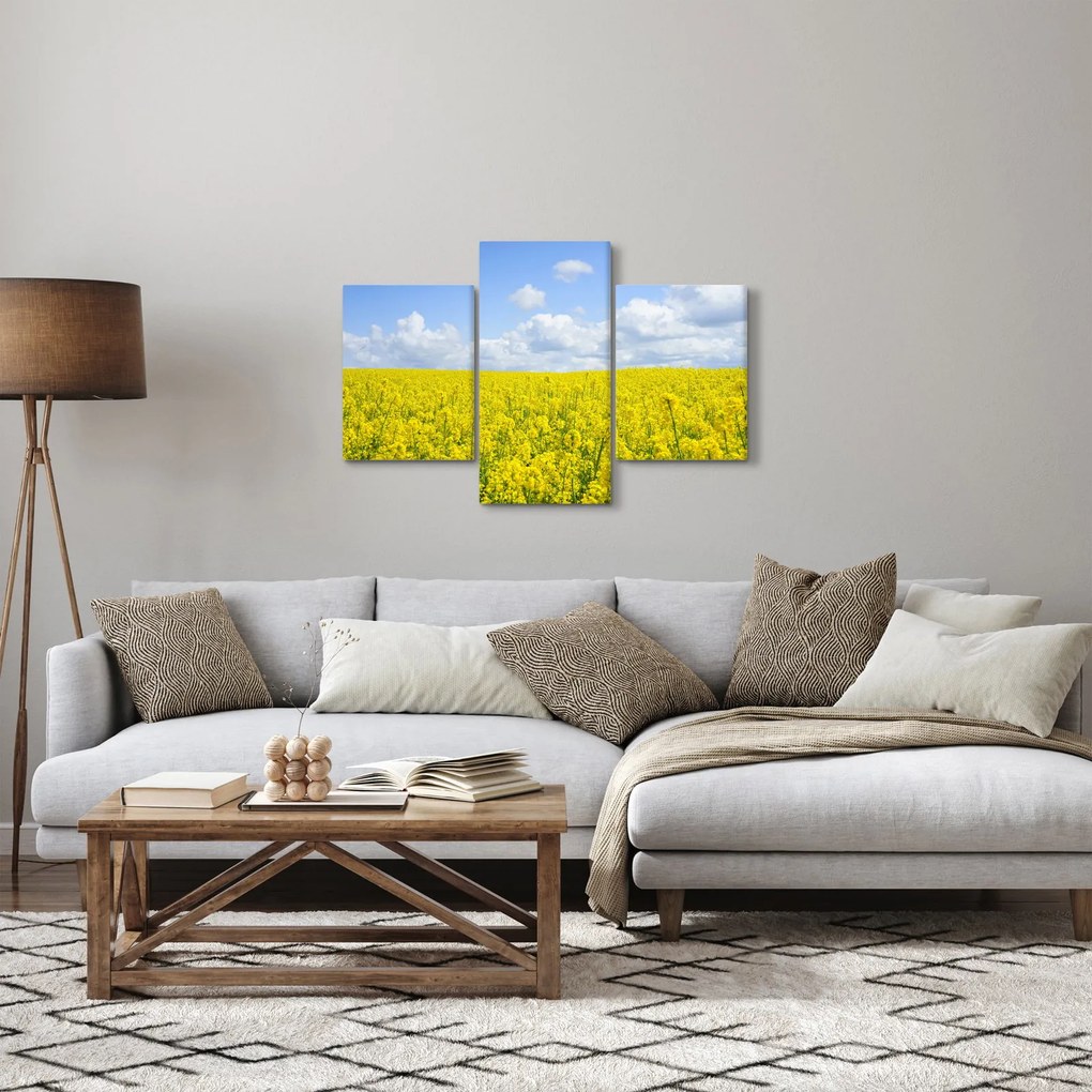 Tablou - Câmp galben (90x60 cm)