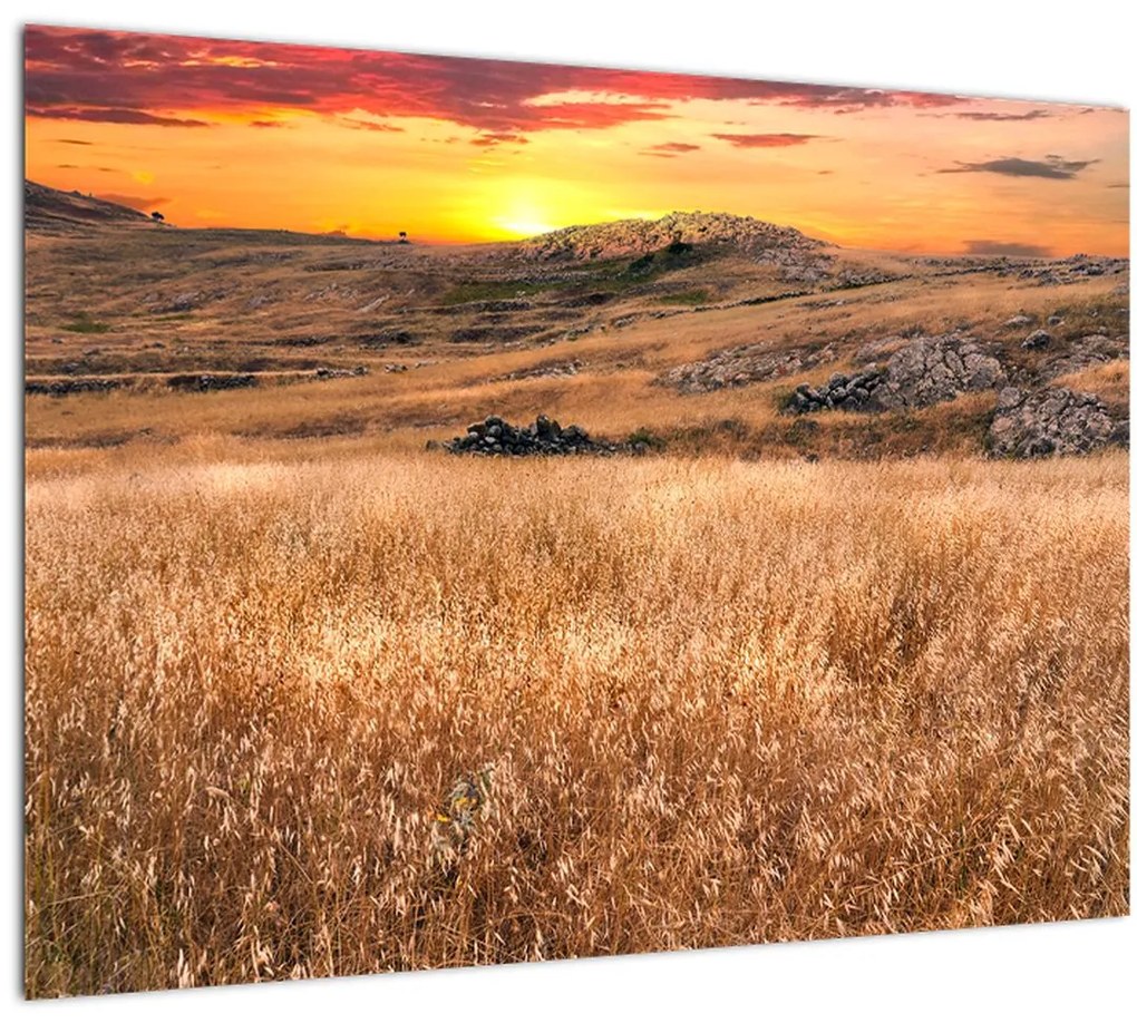 Tablou pe sticlă cu câmp (70x50 cm)