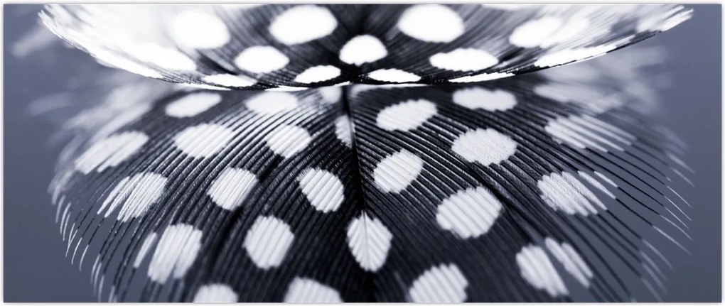 Tablou - Pană (120x50 cm)