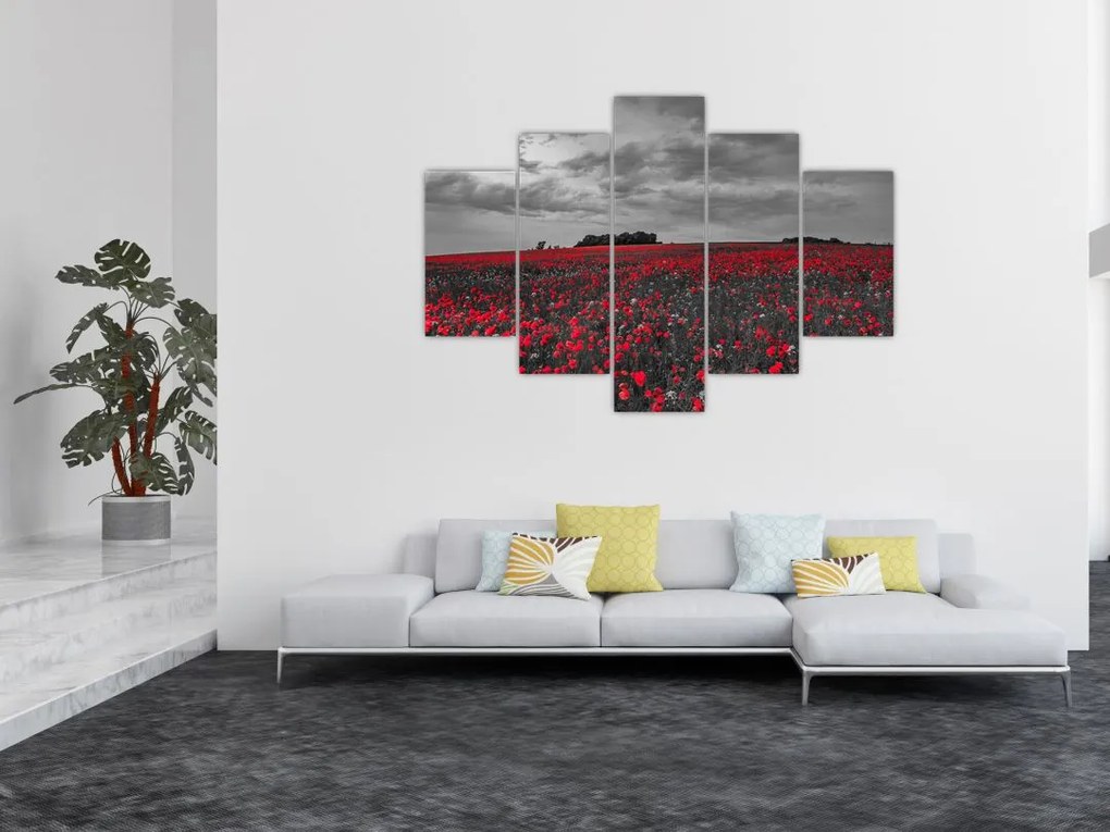 Tablou cu maci (150x105 cm)