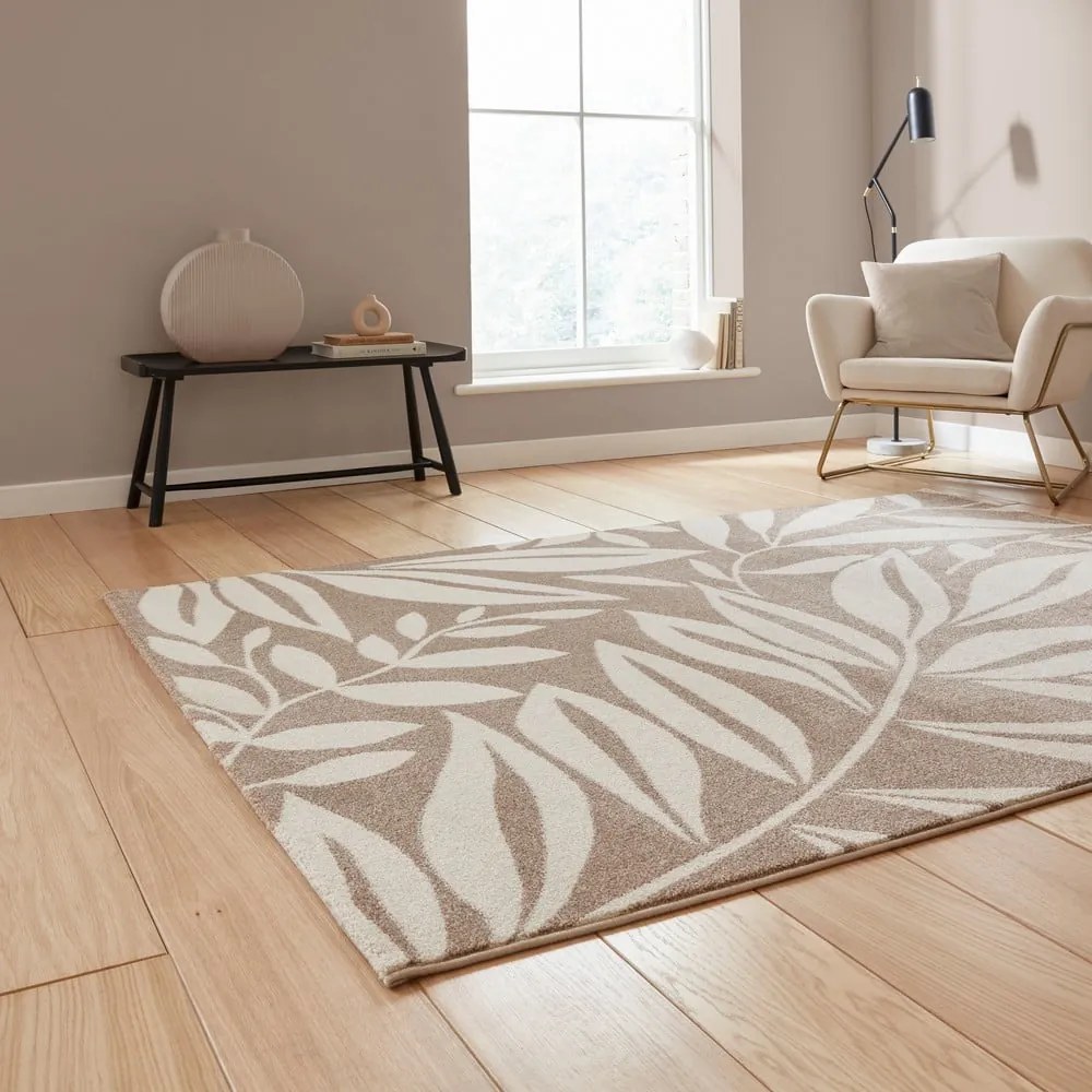 Covor maro deschis 120x170 cm Sorral Leaves – Catherine Lansfield