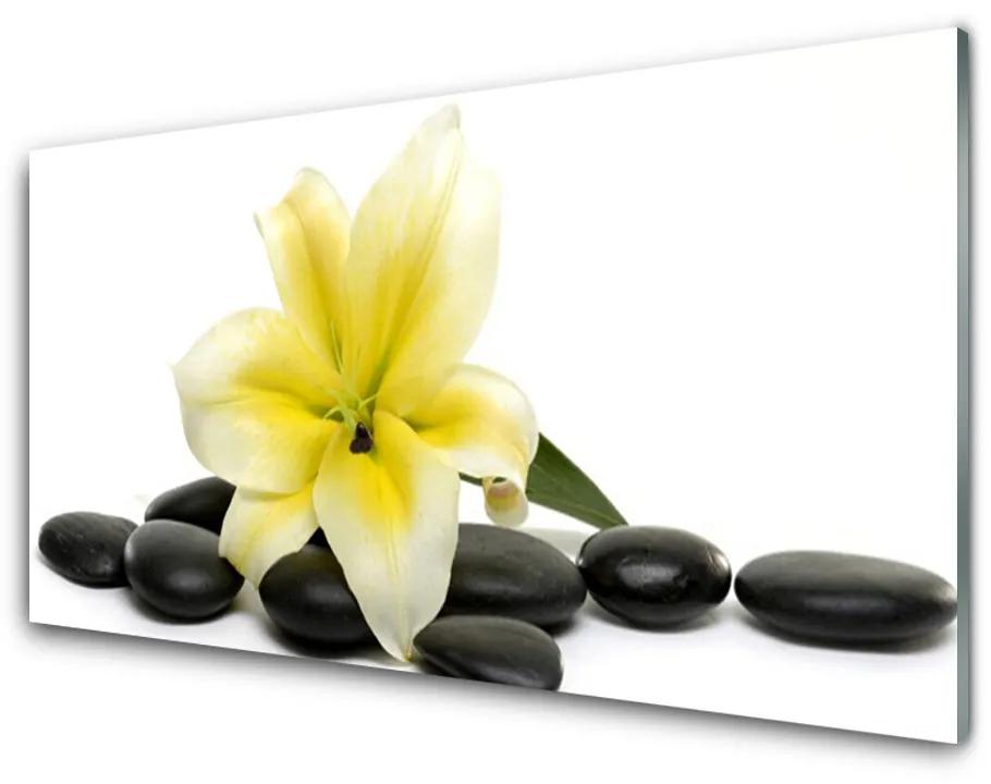 Tablou pe sticla acrilica Pietrele de flori Arta Alb Verde Negru