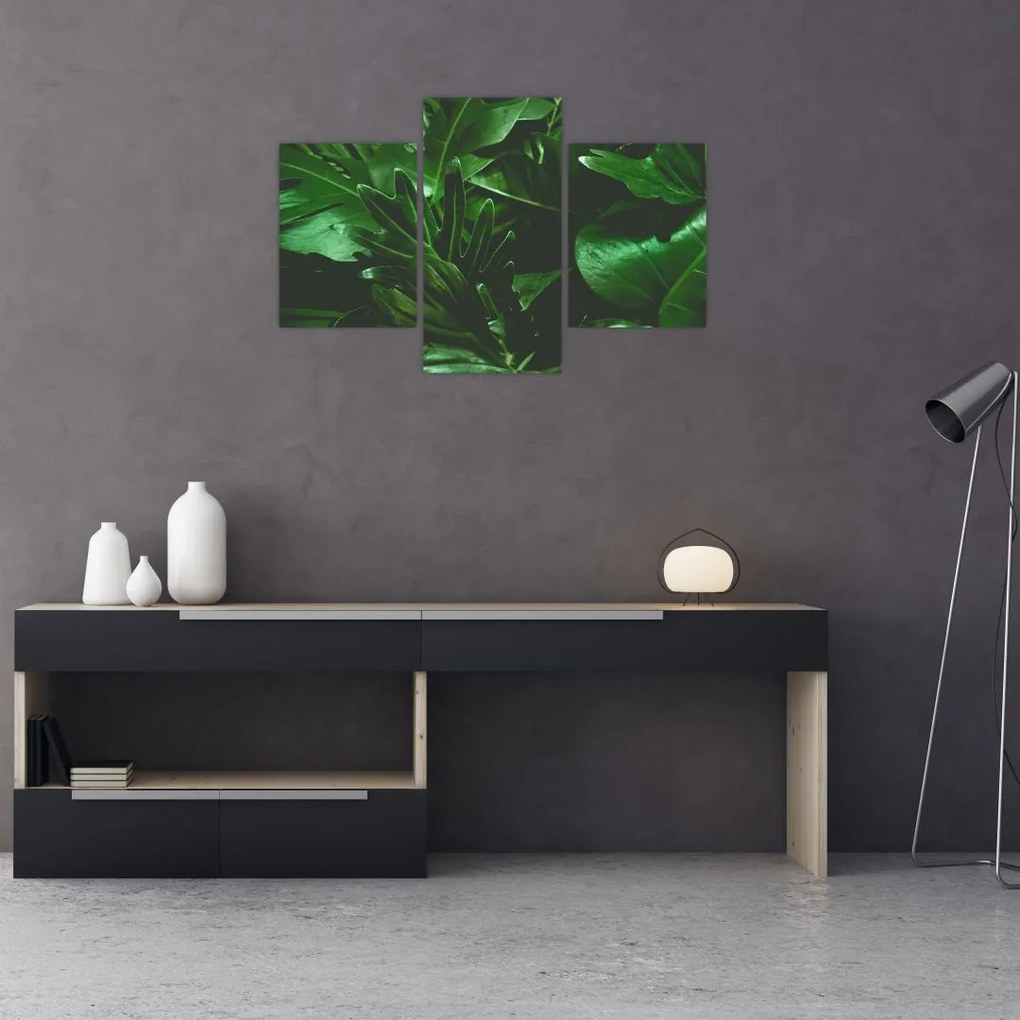 Tablou - Frunze de palmier (90x60 cm)