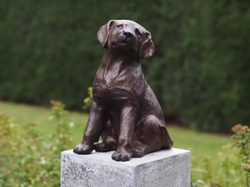 Statuie de bronz moderna Puppy 36x18x26 cm