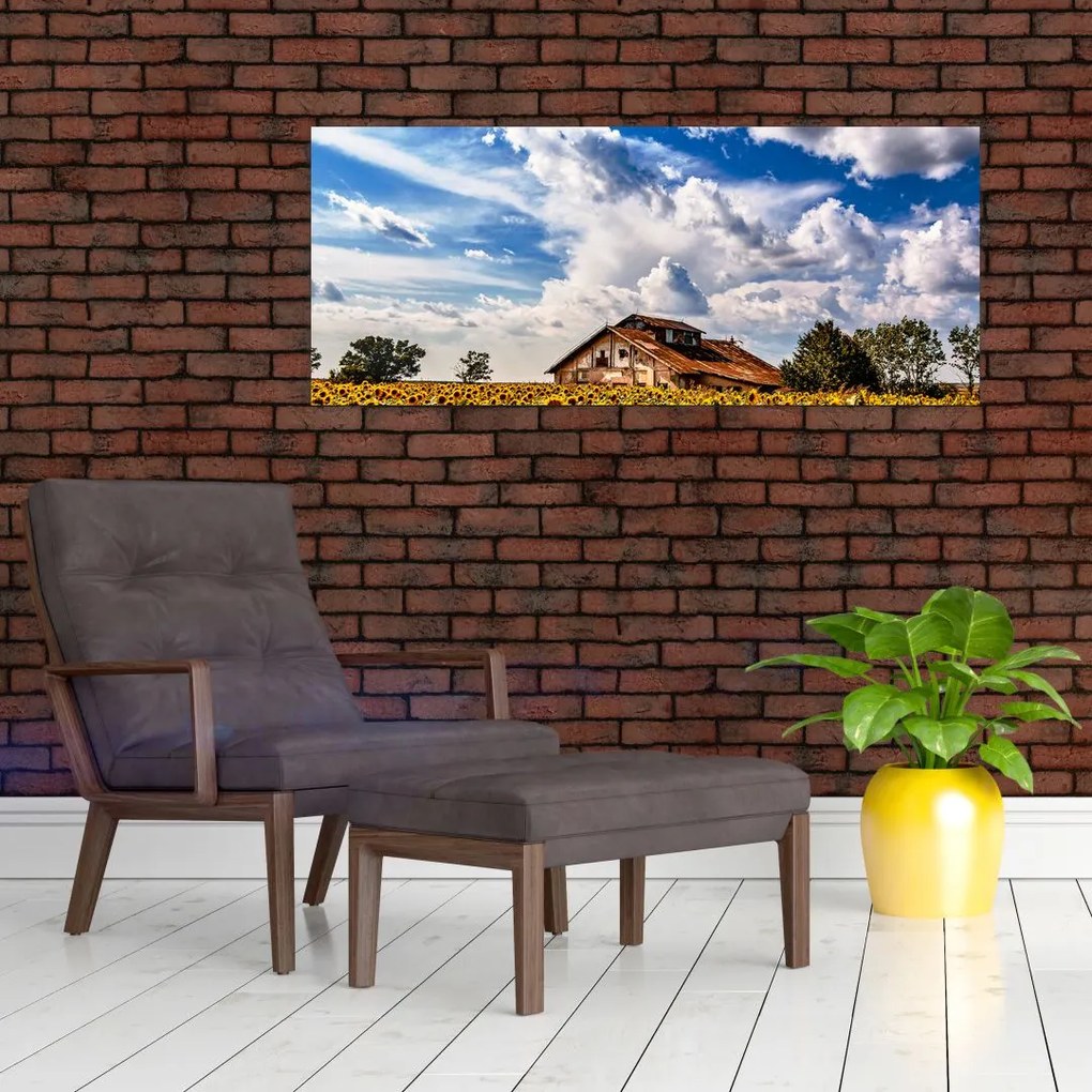 Tablou cu câmp de floarea soarelui (120x50 cm)